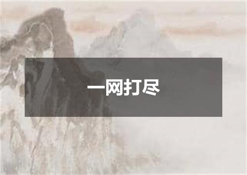 一网打尽