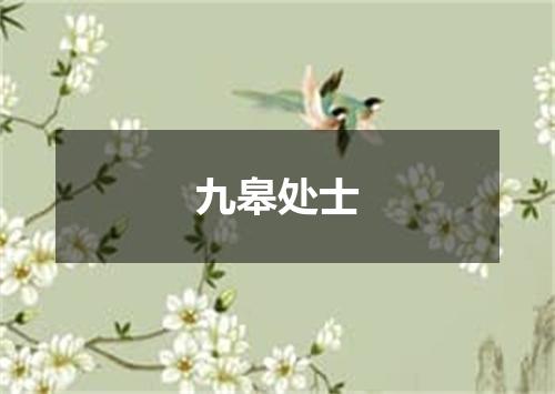 九皋处士