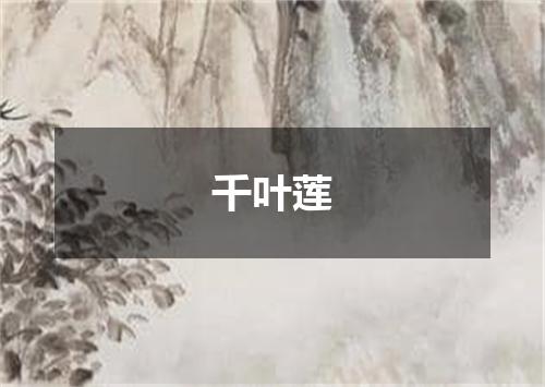 千叶莲