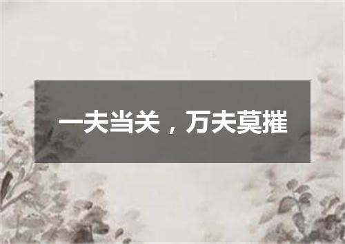一夫当关，万夫莫摧