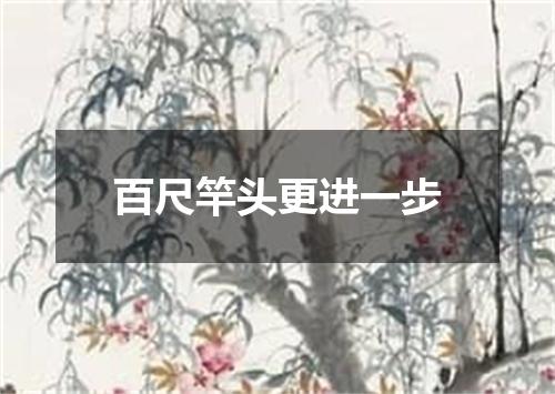 百尺竿头更进一步