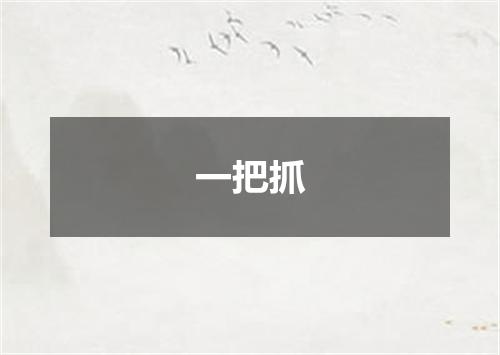 一把抓