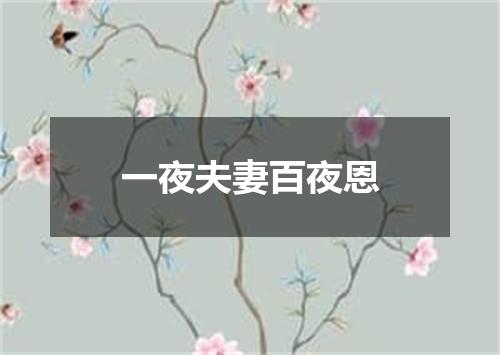 一夜夫妻百夜恩