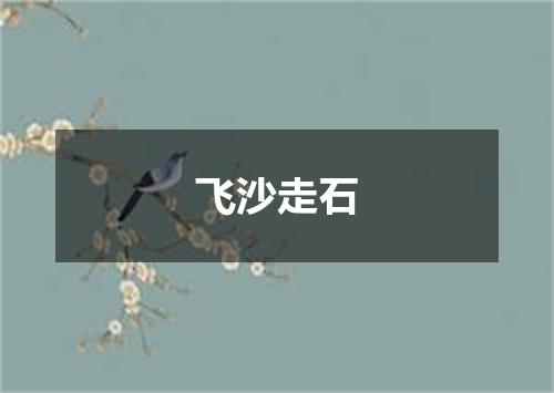 飞沙走石