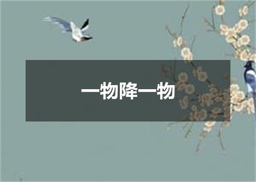 一物降一物