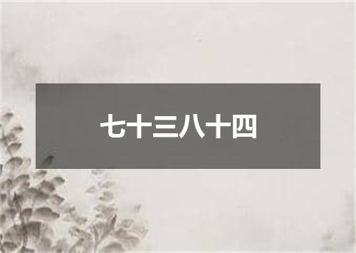 七十三八十四