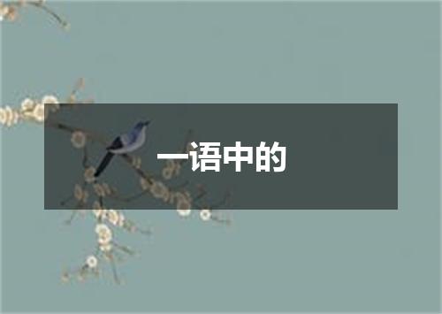 一语中的