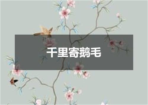 千里寄鹅毛