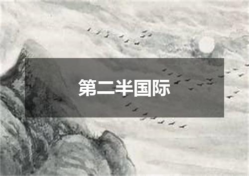 第二半国际