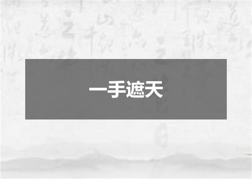 一手遮天