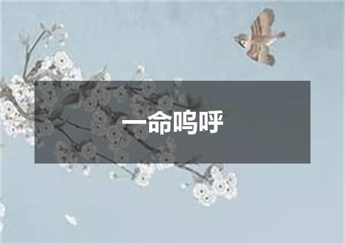一命呜呼