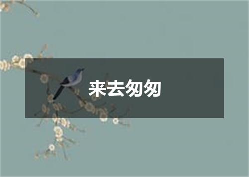 来去匆匆