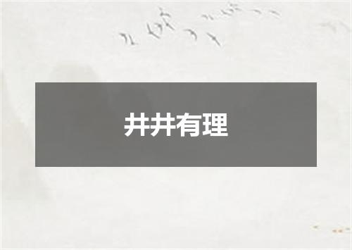 井井有理