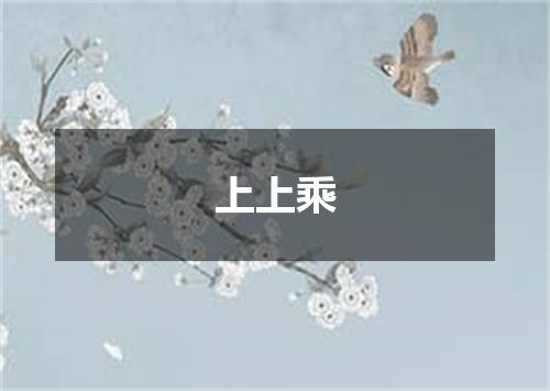 上上乘