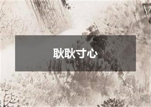 耿耿寸心