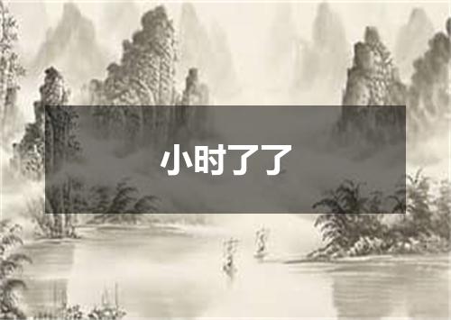 小时了了