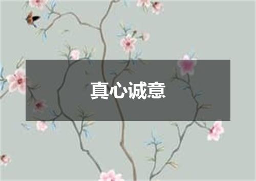 真心诚意