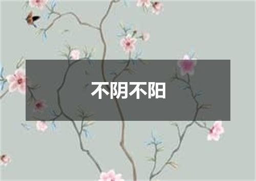 不阴不阳