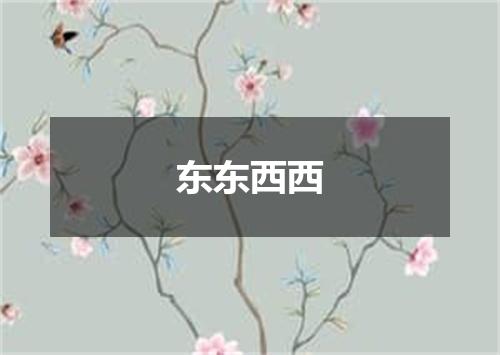 东东西西