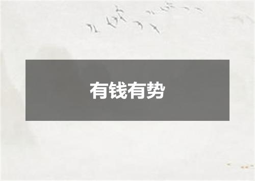 有钱有势