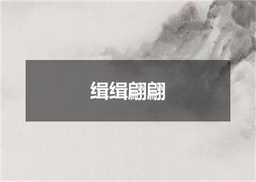 缉缉翩翩