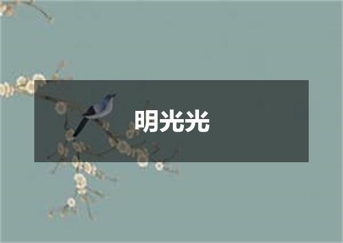 明光光