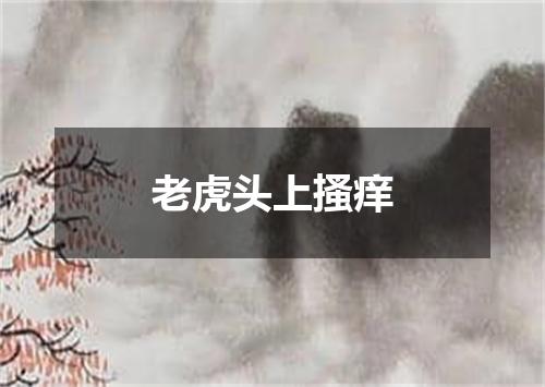 老虎头上搔痒