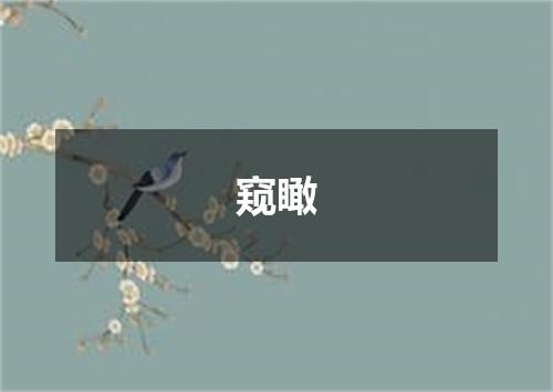 窥瞰