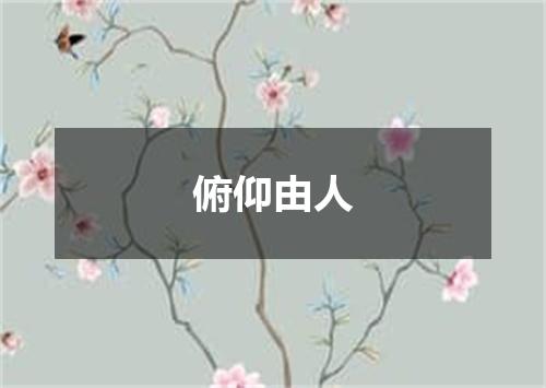 俯仰由人