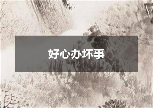 好心办坏事