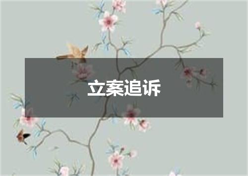 立案追诉