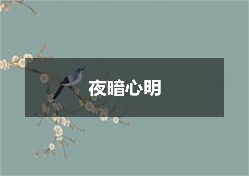 夜暗心明