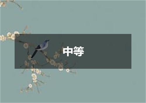 中等
