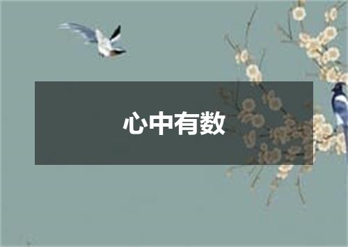 心中有数
