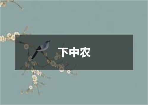 下中农