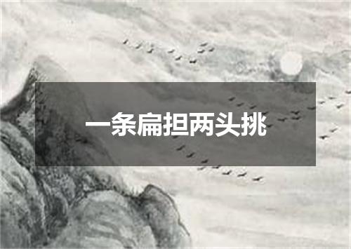 一条扁担两头挑
