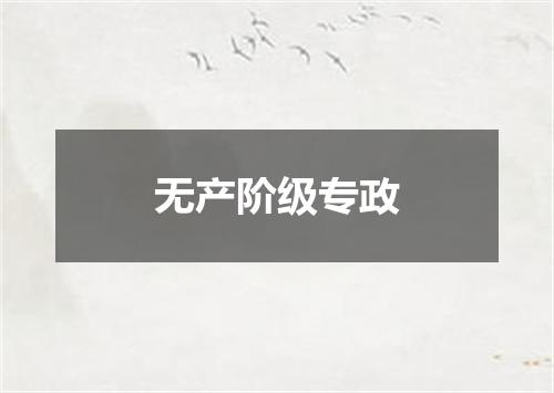 无产阶级专政