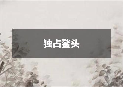 独占鳌头