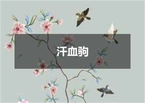 汗血驹