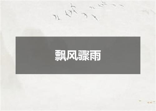 飘风骤雨
