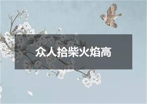 众人拾柴火焰高
