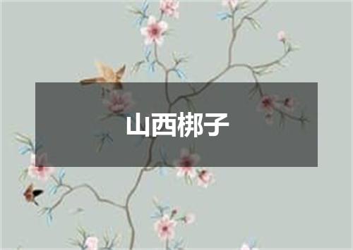 山西梆子