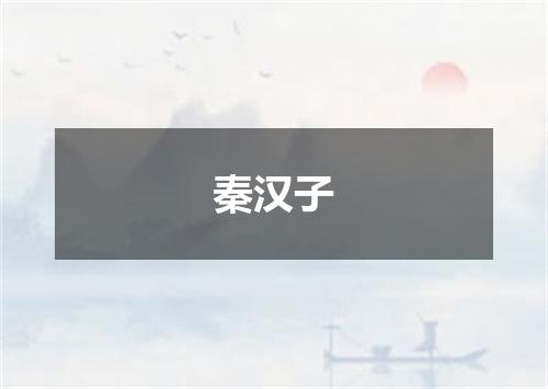 秦汉子