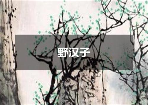 野汉子