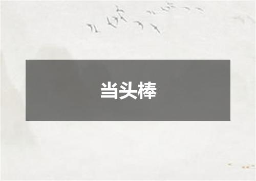 当头棒