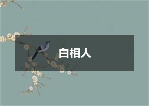 白相人