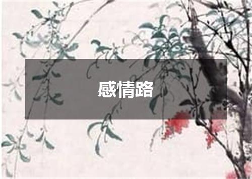 感情路