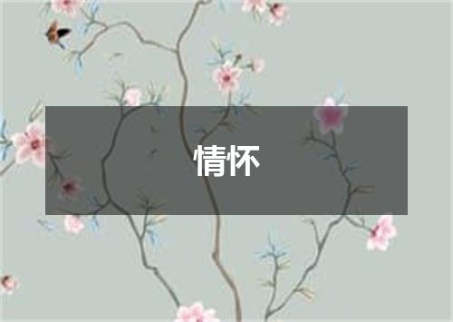 情怀