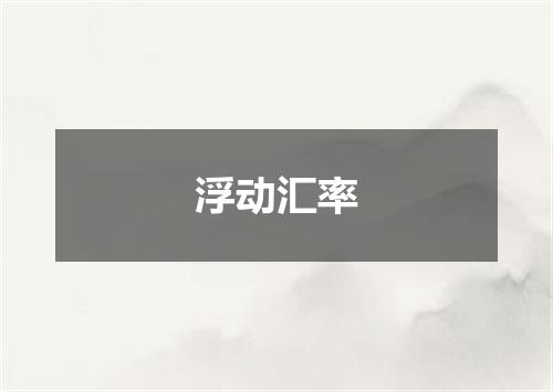 浮动汇率