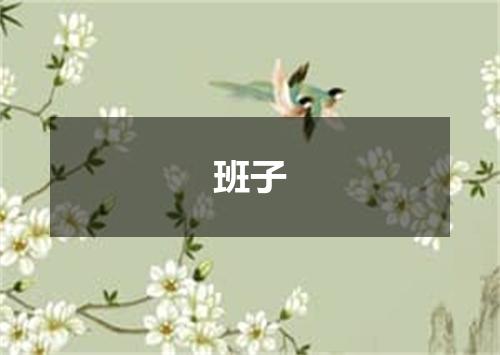班子